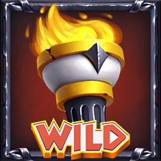 Wild symbol